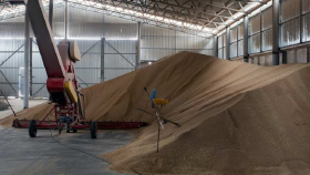 1 декабря в госфонд закупили 44,82 тысячи тонн зерна